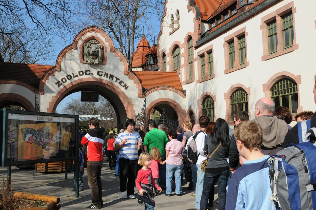 Pension Altstadt Borna Esterno foto